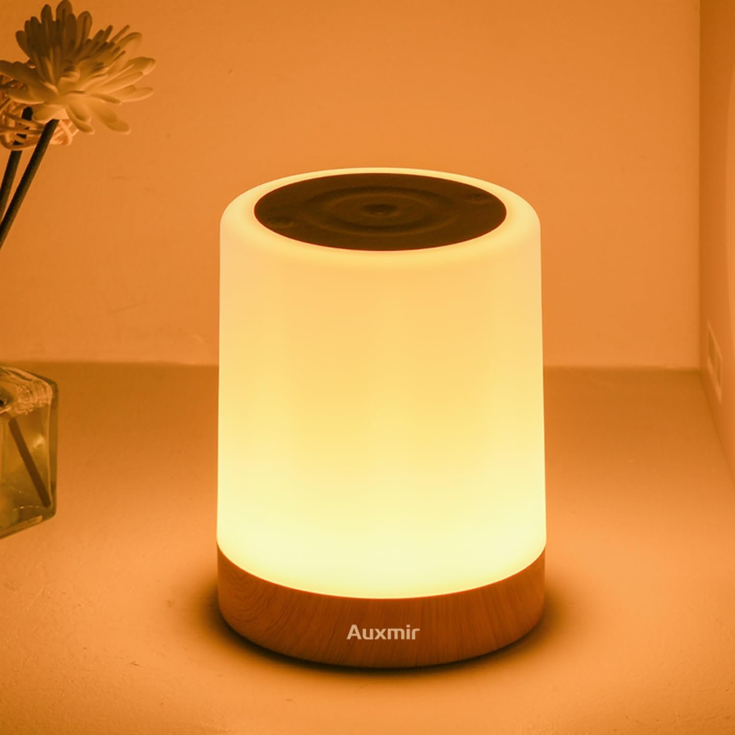 Auxmir Night Light for Kids Baby, Dimmable Touch Lamp for Nursery, 256 RGB Colors 5 Brightness, Portable Rechargeable Bedside Table Lamp for Nightstand, Kids Night Light for Bedroom Living Room, Brown