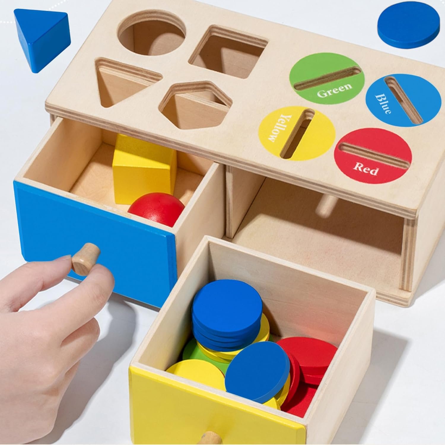 Biottro Montessori Toys for 3 4 5 Year Old – Shape Sorter Matching Color Sorting Recognization Sensory Toys for Toddlers Boy Girl Education Preschool Fine Motor Skills Box Gift